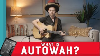 Learn AutoWah  ToneWoodAmp Effects for Strummies [upl. by Crissie]