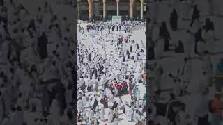 Haram Sharif Khana Kaba ❤️ mashallah subhanllah youtubeshorts shorts [upl. by Northington]