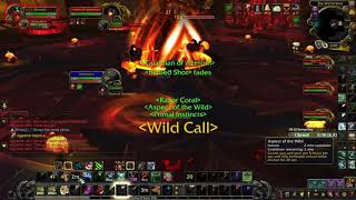 Hunter solo  Durendil vs Aggramar Mythic [upl. by Attinahs20]