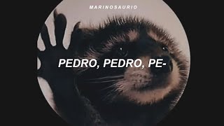 la canción de pedro  PEDRO  Raffaella Carrà Jaxomy Agatino Romero Remix sub español [upl. by Verdie]