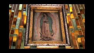 🎵 Melodía Manto Virgen de Guadalupe 🙏  Música Católica HD [upl. by Kirbee]