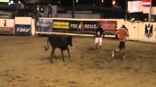 SHOW DE PAYASOS PELEADORES DE TOROS LA DIVINA Y EL MONO wwwcaballotv [upl. by Anavoj]