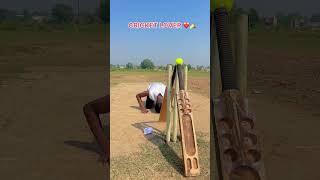 Cricket lover 🏏❤️ cricket trending shots ytshots viralvideo foryou [upl. by Ameekahs]