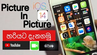 iOS 14 Picture in Picture for YouTube explain in Sinhala How to use Picture in Picture in iOS 14 [upl. by Igal]