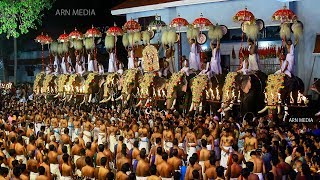 Arattupuzha Pooram 2019 LIVE  Peruvanam Kuttan Marar Panchari Melam  ARN Media [upl. by Eibloc21]