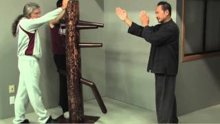 Wing Chun Dummy Intro [upl. by Peria]