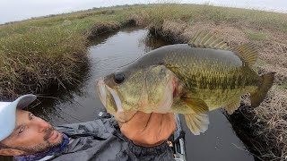 Marsh Bass amp Redfish Etc… Shell Beach  Hopedale La [upl. by Ekusoyr]