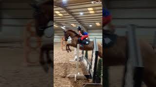 horse equestrian jumping [upl. by Cohby]