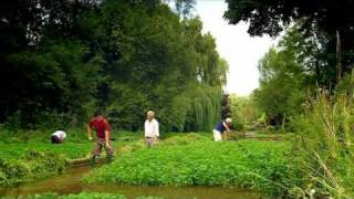 Grow your own Watercress [upl. by Mccowyn]