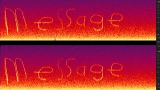 How to hide secret text in a audio message [upl. by Winthorpe]