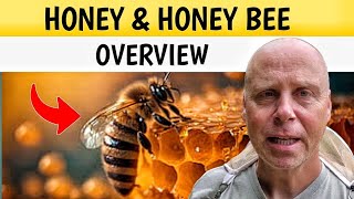 The Incredible World of Bees amp Honey Explained [upl. by Oza812]