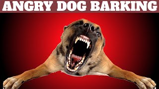 Angry Dog ​​Barking Loud  Dog Barking Sounds [upl. by Jaela]