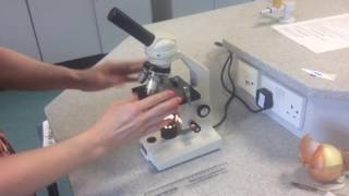 91 GCSE Biology Required Practical 1 Pt2  Wet Mount Slides [upl. by Mccall]