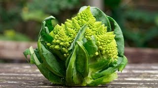 Romanesco So kocht man ihn richtig  Der Bio Koch [upl. by Mathe37]