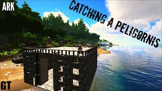 Pelagornis Capturing and Taming  Raft Box Trap  ARK Survival Evolved [upl. by Augy]