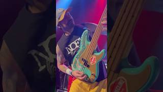 Frenzal Rhomb  Michael Dallinger Bass Solo [upl. by Borden]