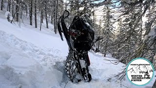 Riding the trees in the ChicChocs Freeride Gen 5 146 [upl. by Barbabra]