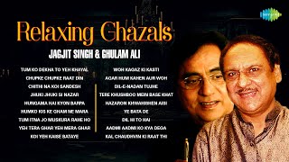 Relaxing Ghazals  Chithi Na Koi Sandesh  Dil E Nadan  Jagjit Singh Ghazals  Best Of Ghazal [upl. by Arriek]