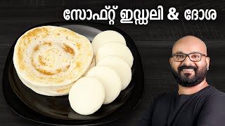 സോഫ്റ്റ് ഇഡ്ഡലി amp ദോശ  Soft Idli amp Dosa Recipe  Easy amp Perfect Idli Dosa Batter [upl. by Evvy]