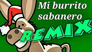 Mi Burrito Sabanero REMIX Dj OKR style version bailable [upl. by Ramsey370]