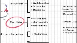 Farmacología básica antibióticos inhibidores de la síntesis de proteínas [upl. by Noraed903]