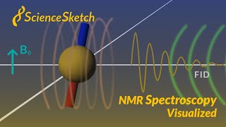 NMR spectroscopy visualized [upl. by Aehsat804]