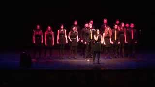 Vocal Point ICCA South Semifinal 2014 [upl. by Anitnuahs678]