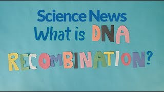 What is DNA recombination  Science News [upl. by Chic533]