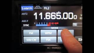 ICOM ICR8600 Synchronous Detector 11665kHz RTM Wai FM [upl. by Glass]