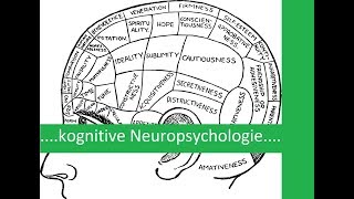 kognitive Neuropsychologie  Einführung Subtraktivität Modularität DoppelteDissoziation [upl. by Anicart]