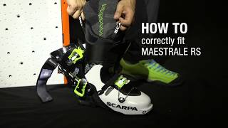 HOW TO Correctly fit MAESTRALE RS [upl. by Norak]