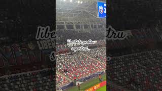 Peluza Sud Steaua ☠️ Libertate pentru suporteri shorts youtubeshorts reels ultras steaua [upl. by Ibor910]