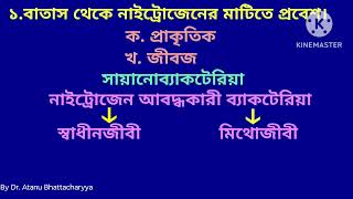 নাইট্রোজেন চক্র Nitrogen cycle in Bengali Biogeochemical cycle in Bengali nitrogen chokro জৈব ভূ [upl. by Ernald73]