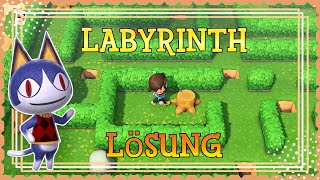 MaiFeierei InselLabyrinth Guide in Echtzeit 🌴ANIMAL CROSSING New Horizons 2020 [upl. by Ulrick]