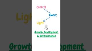 Photomorphogenesis biology youtube biotechnology science plantphysiology pritiduhanofficial [upl. by Eednil]