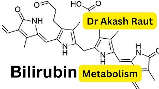 Bilirubin Metabolism Degradation of HemeBasic Science MBBS Biochemistry LecturesDr Akash Raut [upl. by Nauqan]