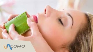 Cómo hacer una mascarilla facial casera con aloe vera [upl. by Edmee]