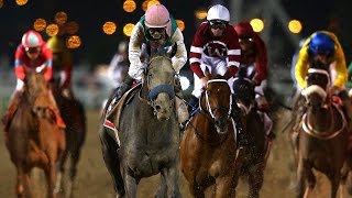 Arrogate USA  2017 Dubai World Cup [upl. by Hathaway]