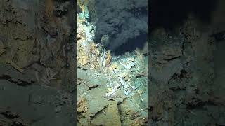 New Discovery of Hydrothermal Vents [upl. by Alessandra]