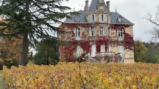 Château Les Carmes Haut Brion an absolute mustsee [upl. by Launce]