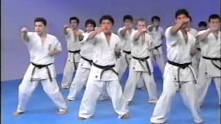 Kyokushin karate encyclopedia 1 [upl. by Gardel]