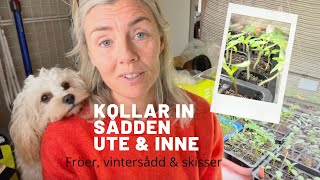 Se årets fröer gro vintersådd och trädgårdsplanering  1 April [upl. by Alver]