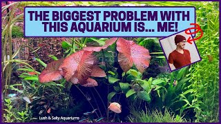 Biggest Problem with Heavily Planted Aquarium Me [upl. by Erdrich]