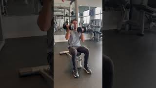 Seated Alternating Overhead Press [upl. by Rollie]