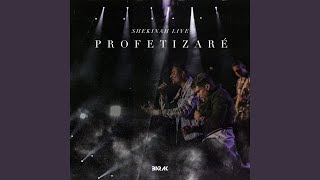 Profetizaré Shekinah Live [upl. by Caesaria980]