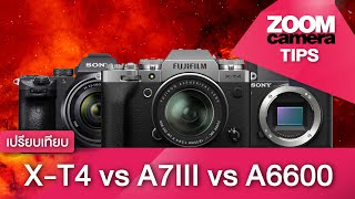 เปรียบเทียบ Fujifilm XT4 vs A7III vs A6600 ใครเจ๋งกว่ากัน [upl. by Teerpnam]