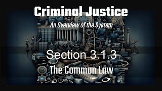 Section 313 The Common Law [upl. by Josy]