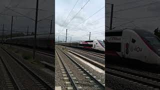 Passage du TGV 6176 NiceParis en gare dAvignon TGV [upl. by Esom]