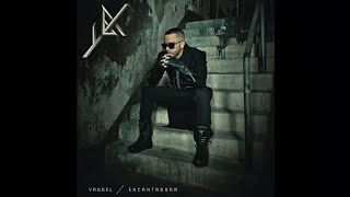 Yandel  Encantadora New Official Version [upl. by Lilac]