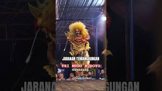 🔥Jaranan Temanggungan TMB GemawangBanaran live karanganyar bedono jarananshorts viralvideo [upl. by Innavoeg]